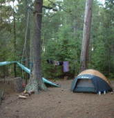 TurtleRiverCampsite