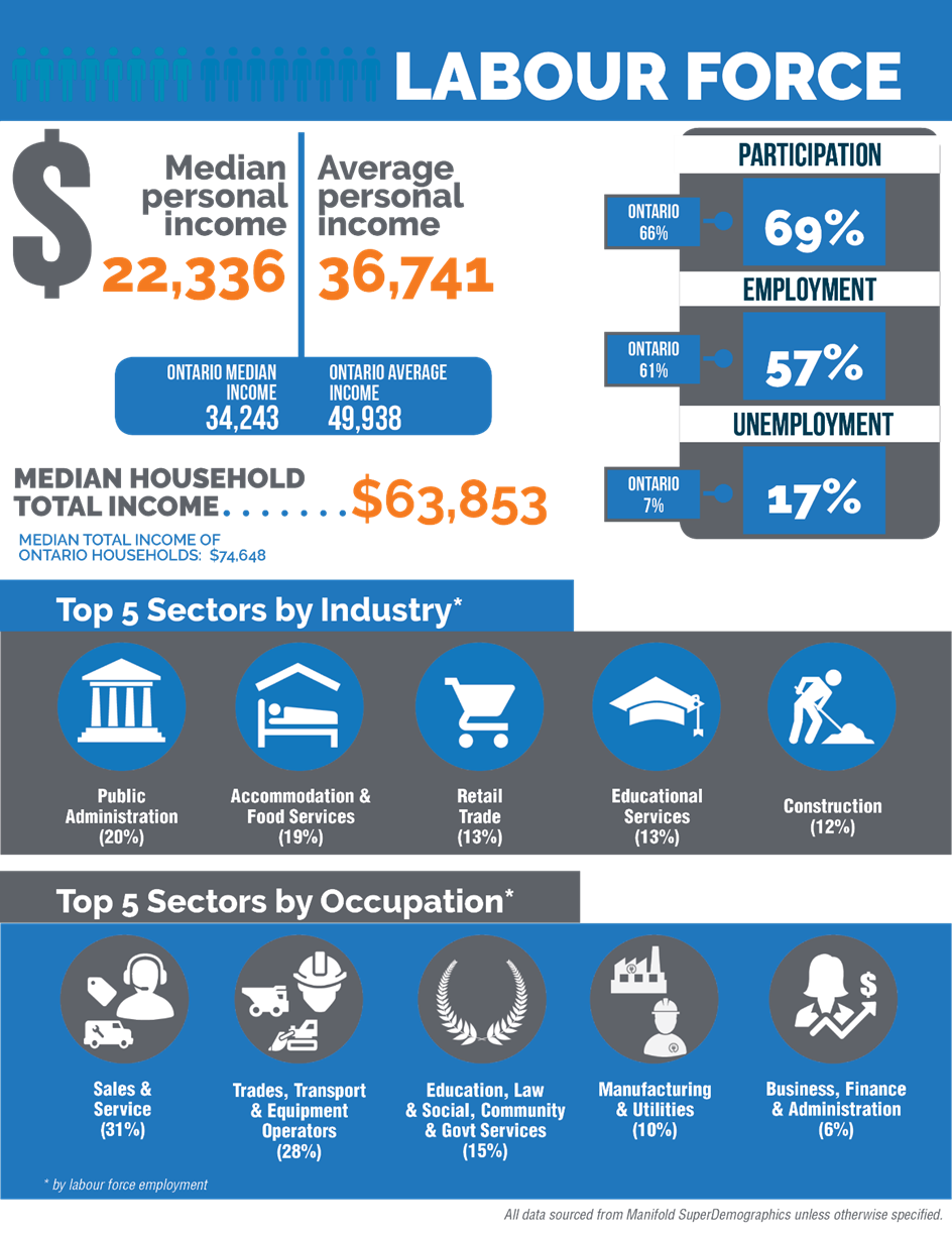 infographic 3