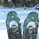 skiing and snowshoeing
