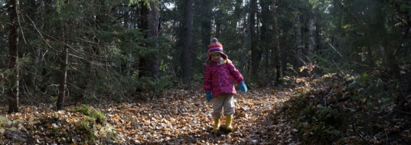 Hiking Trails